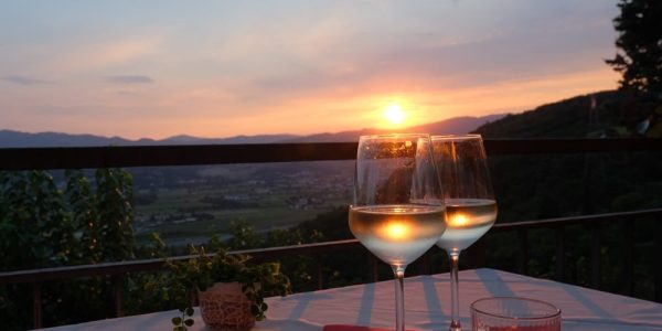 118616136_3165523923501481_1236998807102483044_n